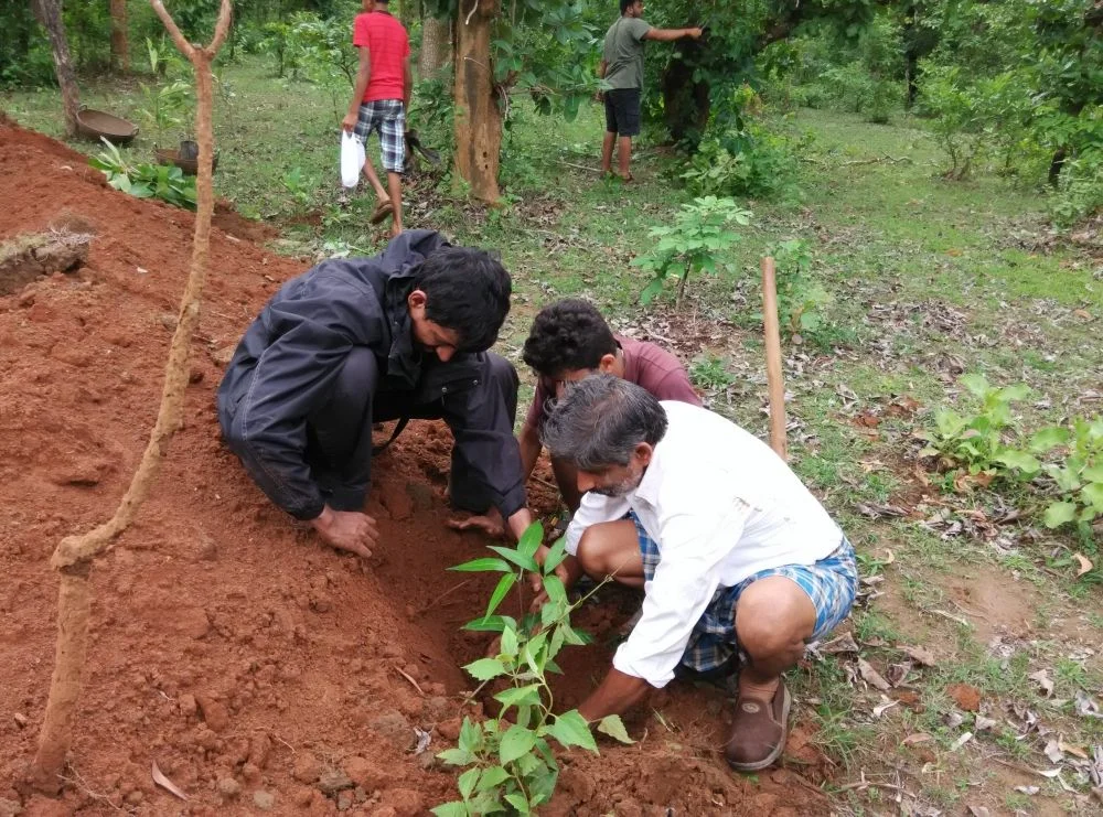 Plant a tree for community
