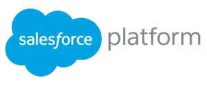 salesforce platform