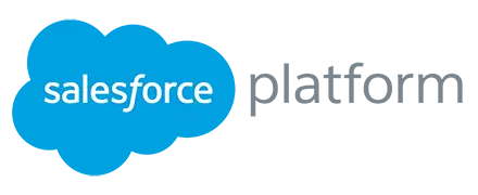salesforce platform